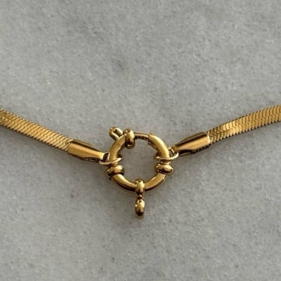 COPY - COPY - Gold Chain Link Snake Round Pendant Clasp Necklace 

Brand New - Picture 1 of 4